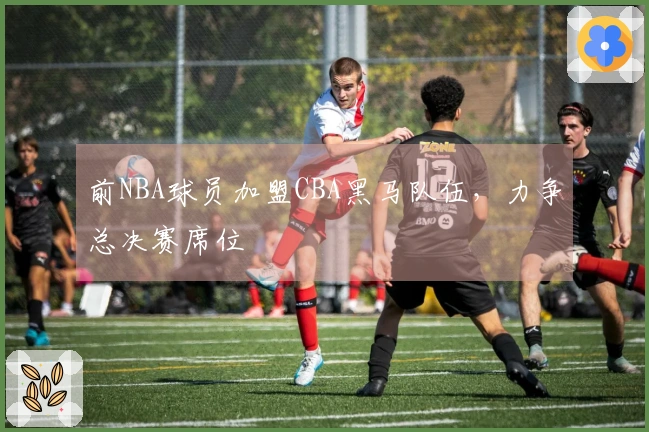 前NBA球员加盟CBA黑马队伍，力争总决赛席位